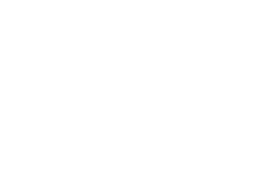 Perceptum Surveys.